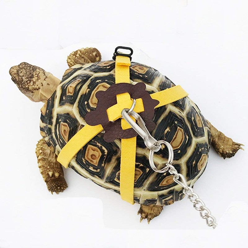 Ebamaz Leather Harness Strap for Tortoise/Turtle Pet Walking Lead Control Rope Chest Collar (L) - Image 1